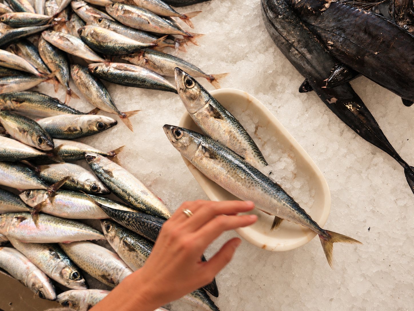 ferm LIVING marble dish with fresh mackerel at the Funchal fish market